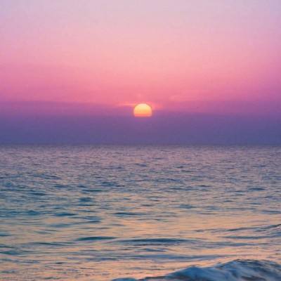 半岛综合官网App