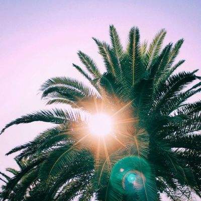 ROR体育官网登录入口