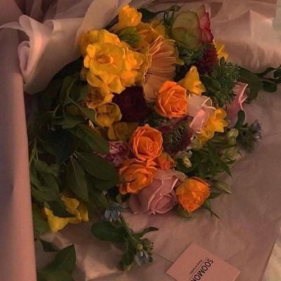 leyu·乐鱼app下载