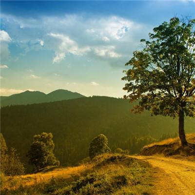 加拿大pc试玩平台