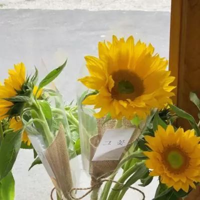 安博体育下载手机版