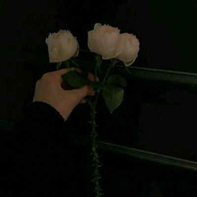 246天天好彩下载手机版截图